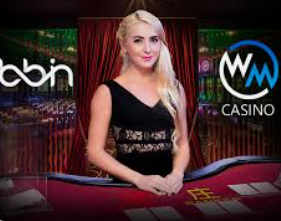 pg赢财神最新版